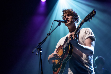 the wombats